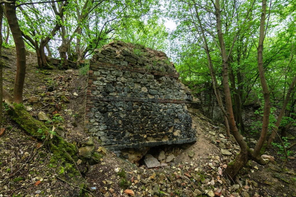 1. wapiennik w Częstochowie fot. t. chmura