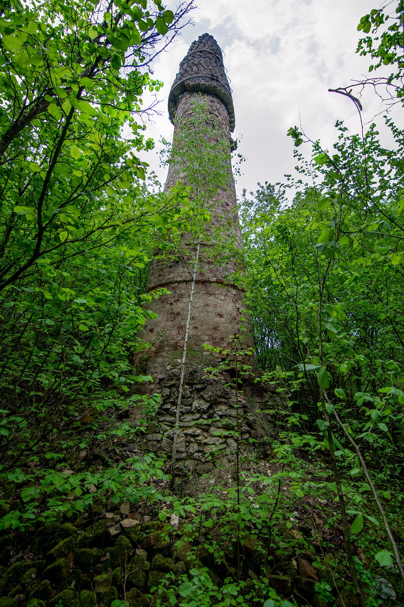 4. wapiennik kusięta fot. t. chmura