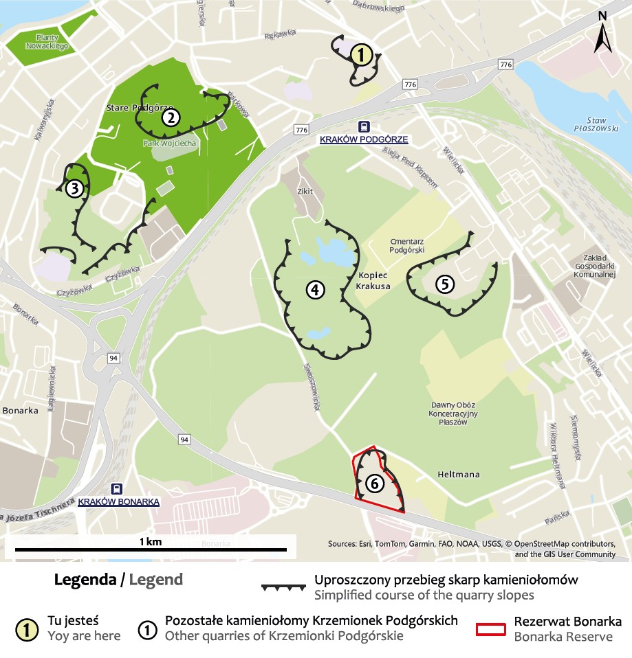 grafika ilustracyjna