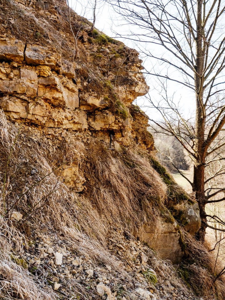 Ściana wyrobiska południowego kamieniołomu w Witulinie, fot. P. Derkowski