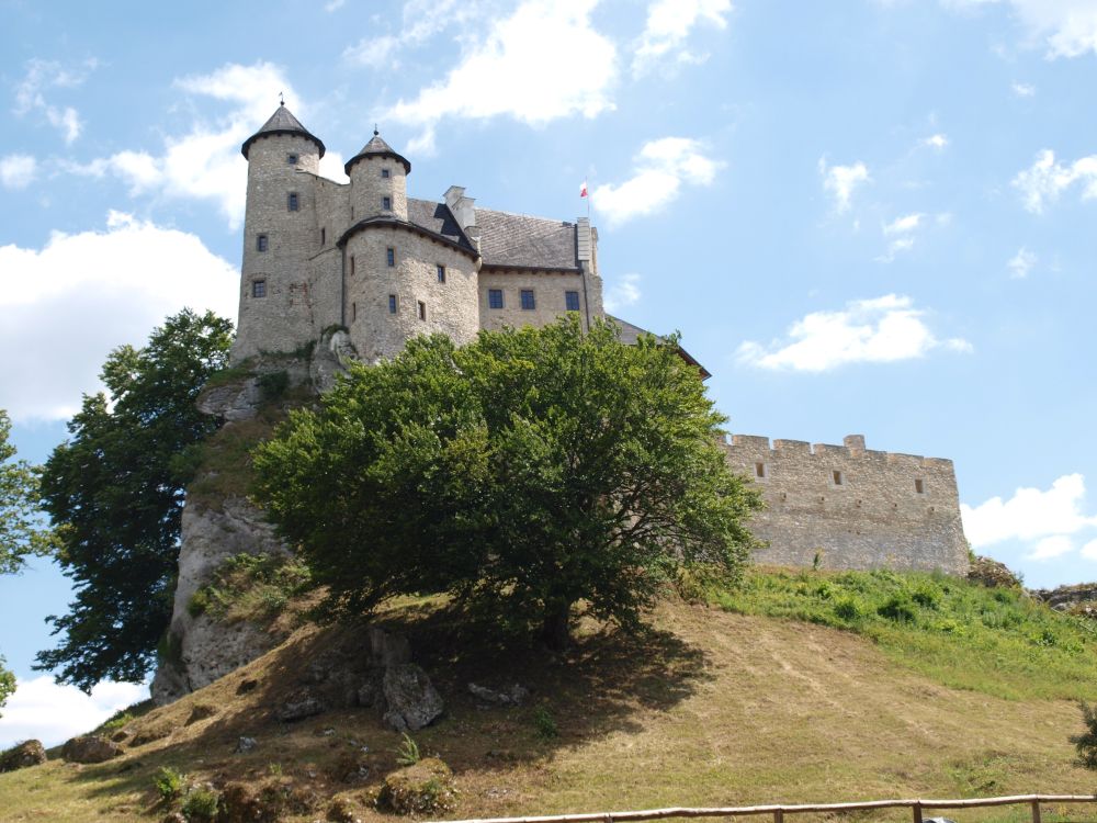 zamek bobolice