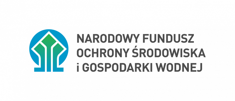  podstawowa wersja logo nfo