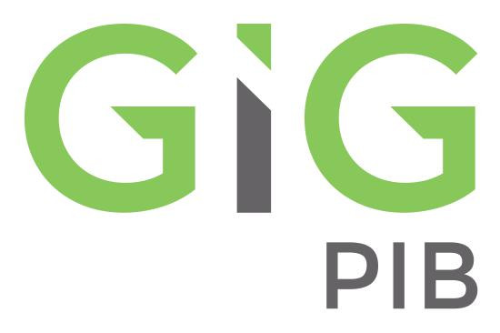 gig logo wer pl pionowa barwna pib skrt