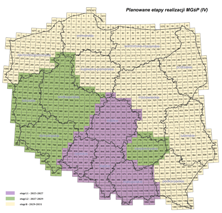 planowane etapy realizacji mgp4