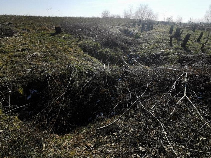 Zapadliska i rowy sufozyjne w rejonie Góry Kowalikowej, okolice Karniowic