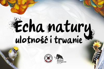 Wystawa „Echa natury. Ulotność i trwanie”