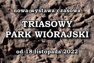 Wystawa Triasowy Park Wiórajski