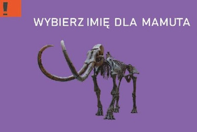 Muzealny mamut ma nowe imię!