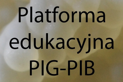 Platforma edukacyjna PIG-PIB
