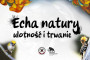 Wystawa „Echa natury. Ulotność i trwanie”