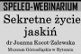 Speleowebinarium