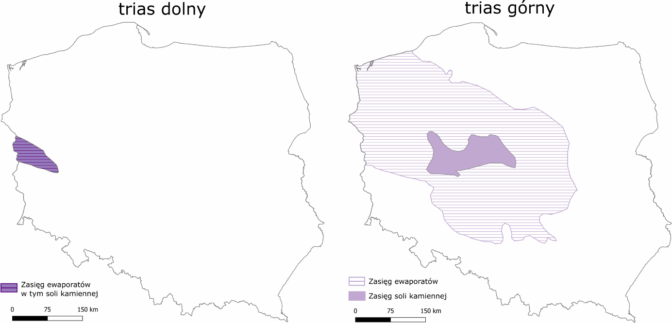 Zasięg soli i innych ewaporatów triasu.