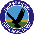 narwianski 1