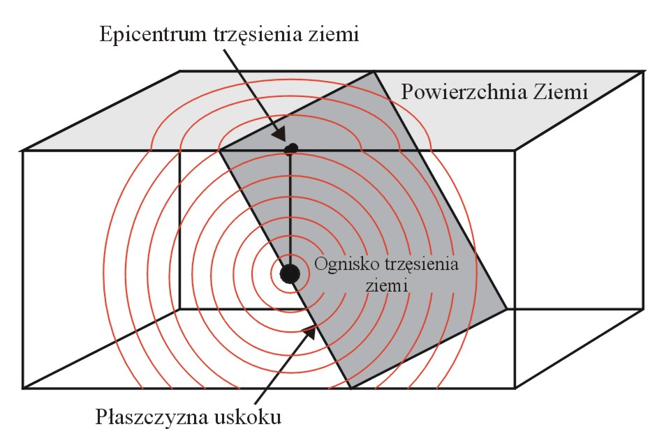 sejsm 01 01