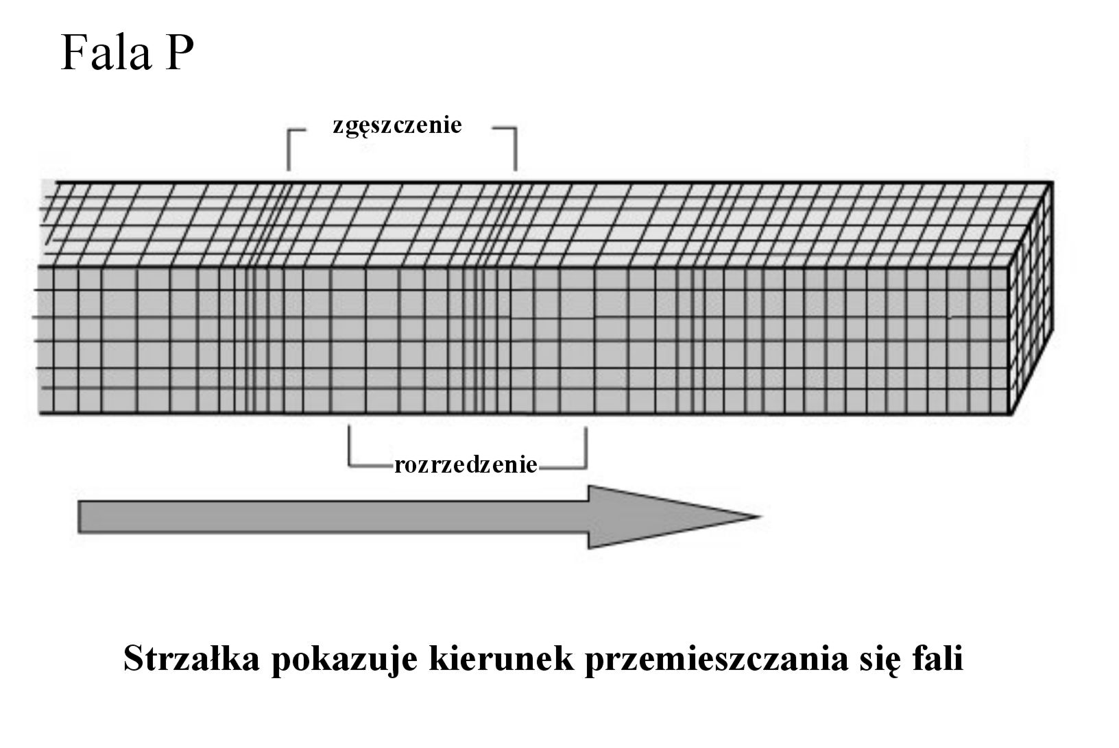 sejsm 02 01 p