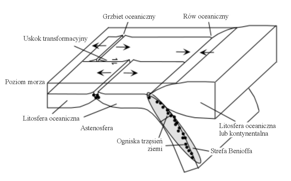 sejsm 03 02 ryft