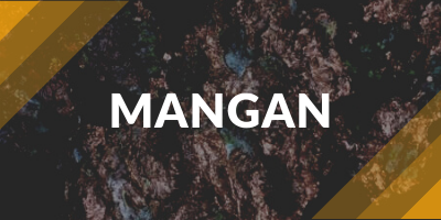 Mangan - przekierowanie