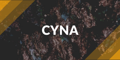 Cyna - przekierowanie