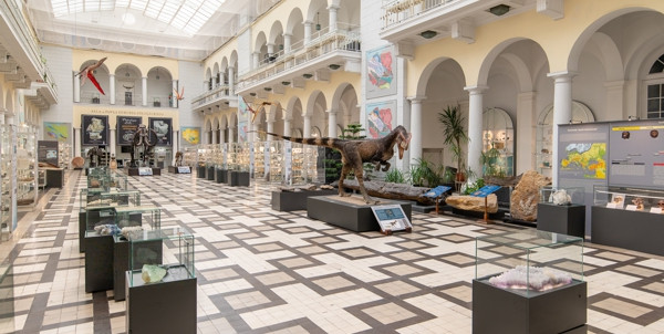 Wystawa główna Muzeum Geologicznego