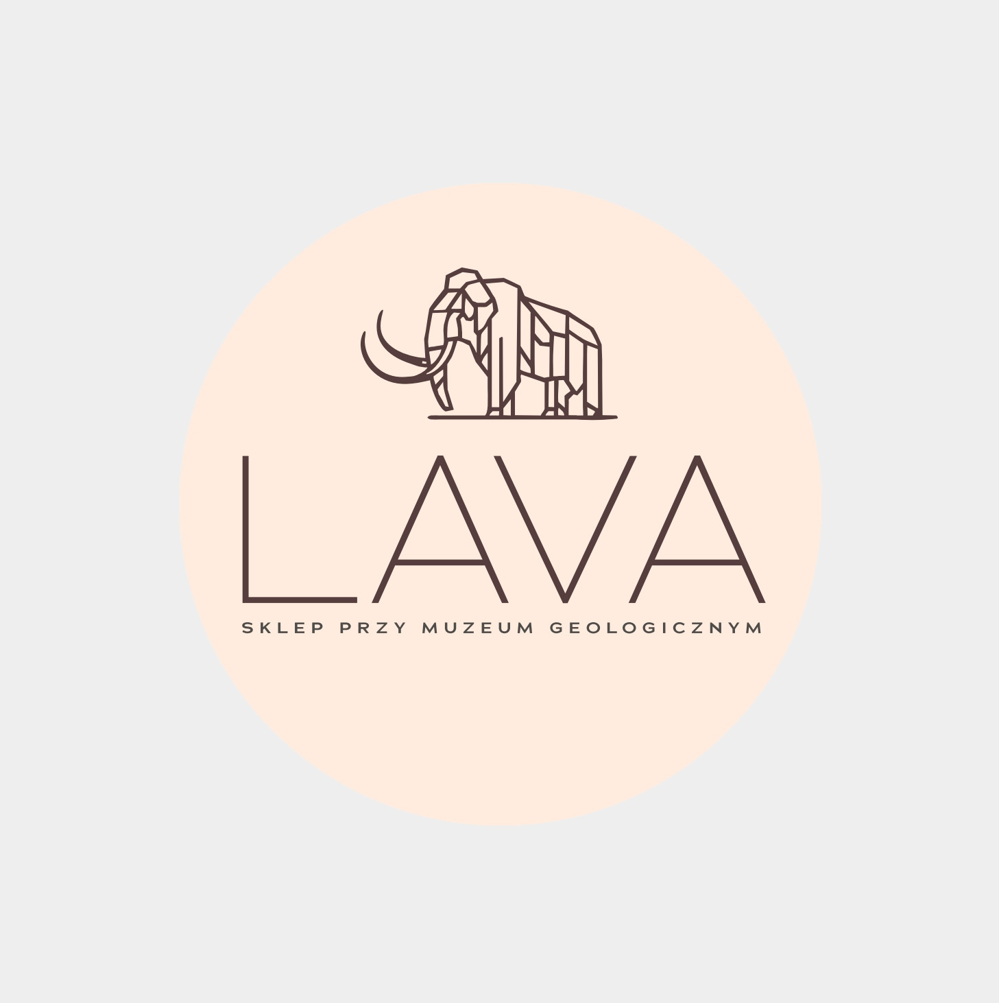 Logotyp sklepu LAVA