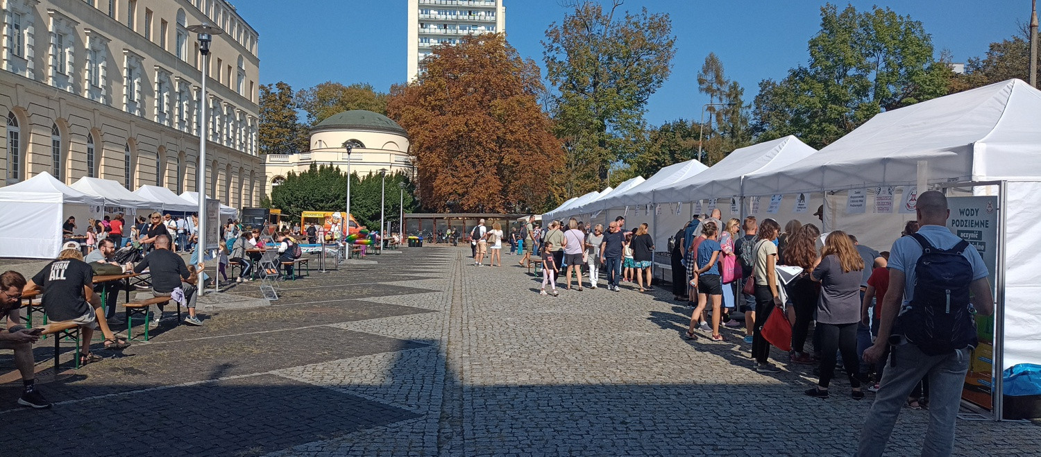 Widok na teren pikniku