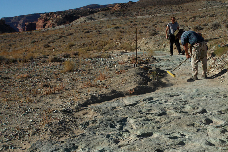 Dinosaur foot tracks in Cedar Mountains, USA (G. Gierliński)