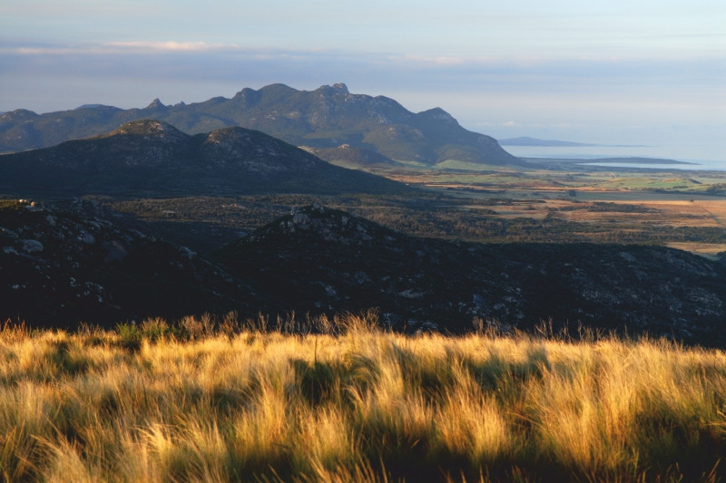 Mount Strzelecki on Flinders Island, Tasmania (N. and M. Oksza Strzeleccy)