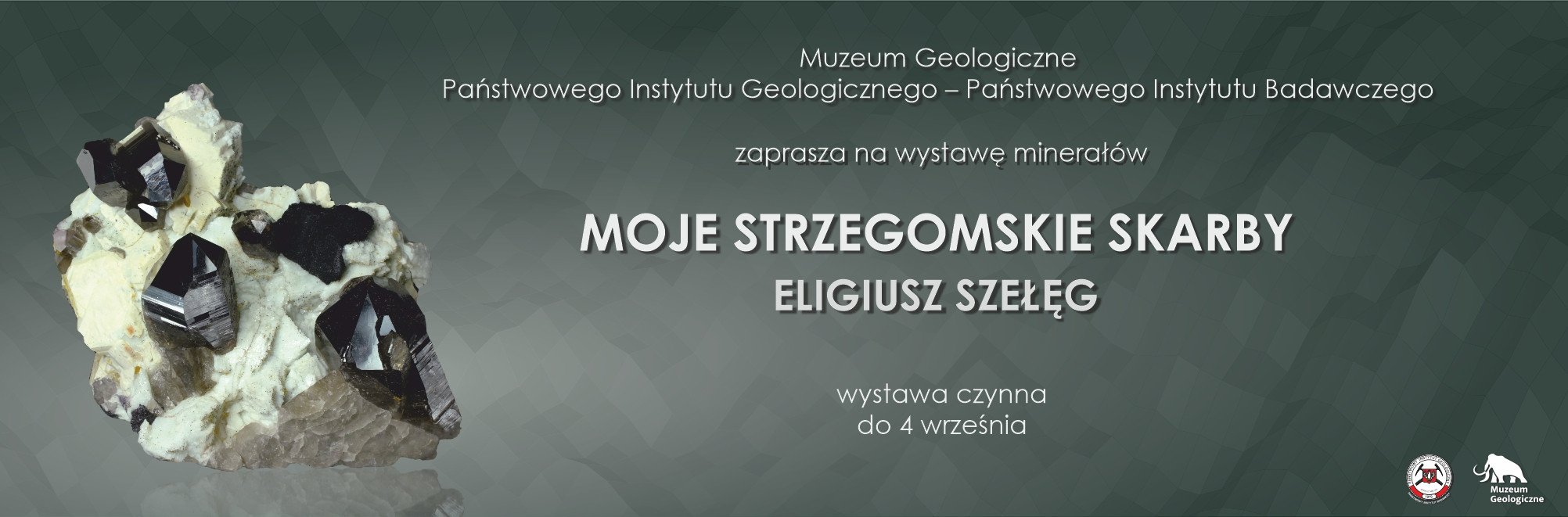 Banner informujący o wystawie