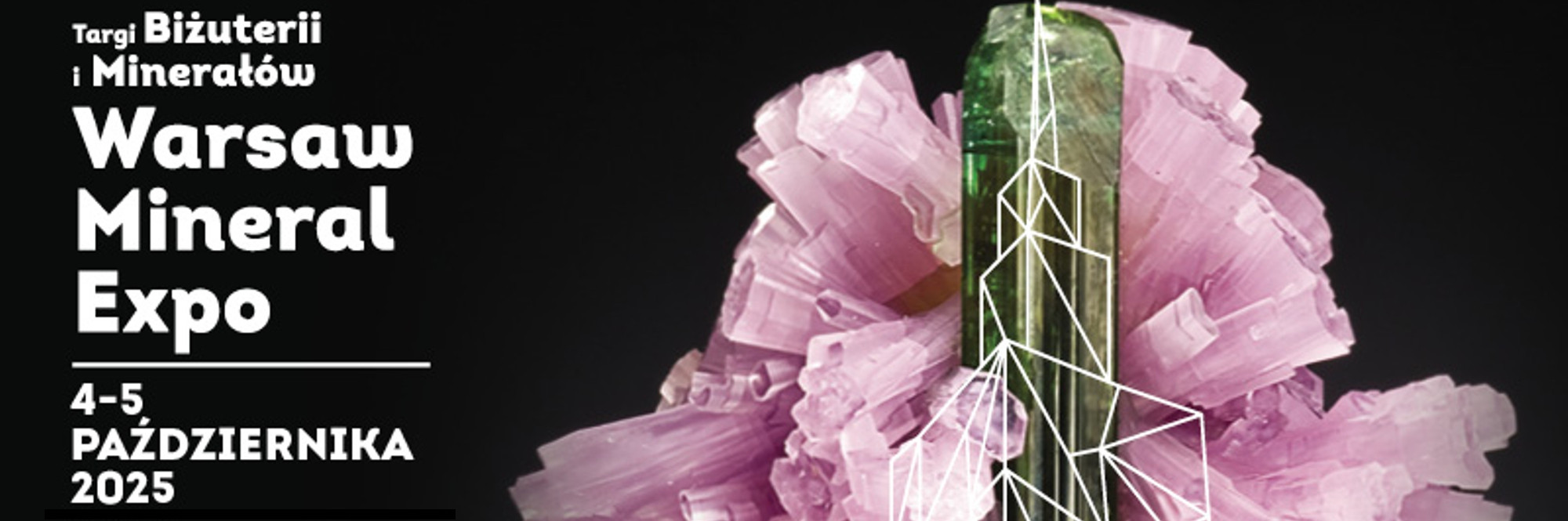 mineralexpo2025b