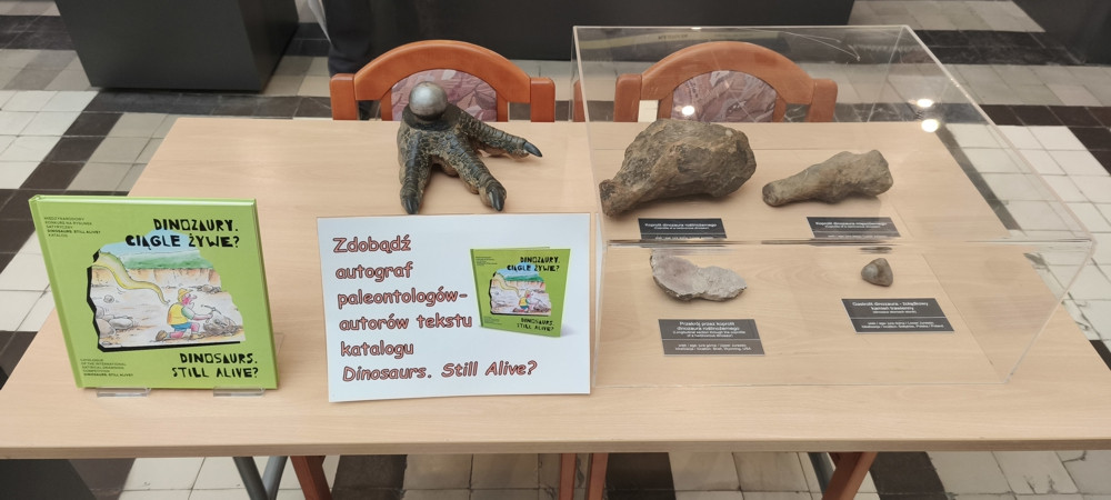 Katalog pokonkursowych oraz wystawa koprolitów dinozaurów