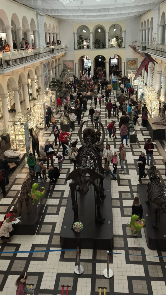 Zwiedzający na sali głównej Muzeum Geologicznego