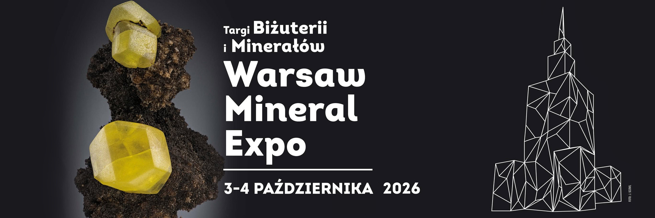 minera expo 2026 baner