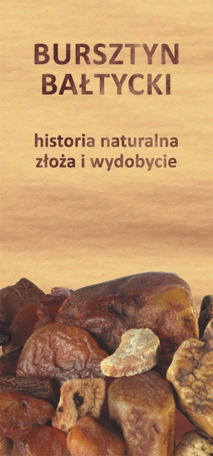 Bursztyn bałtycki - okładka