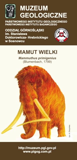 Mamut wielki - okładka