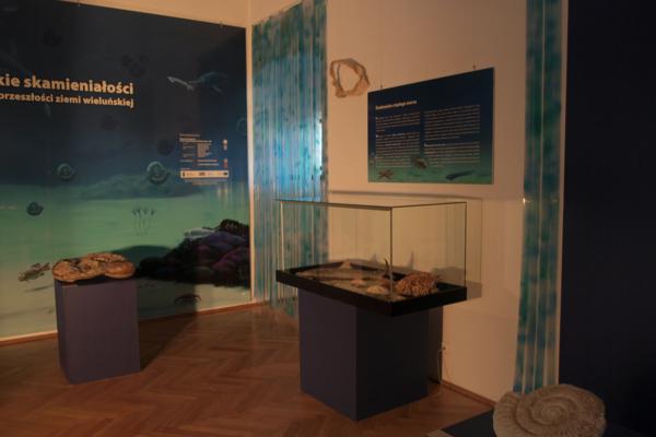 Zdjęcie wystawy Jurajskie skamieniałości - klucz do przeszłości ziemi wieluńskiej