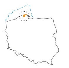 zarnowiec4