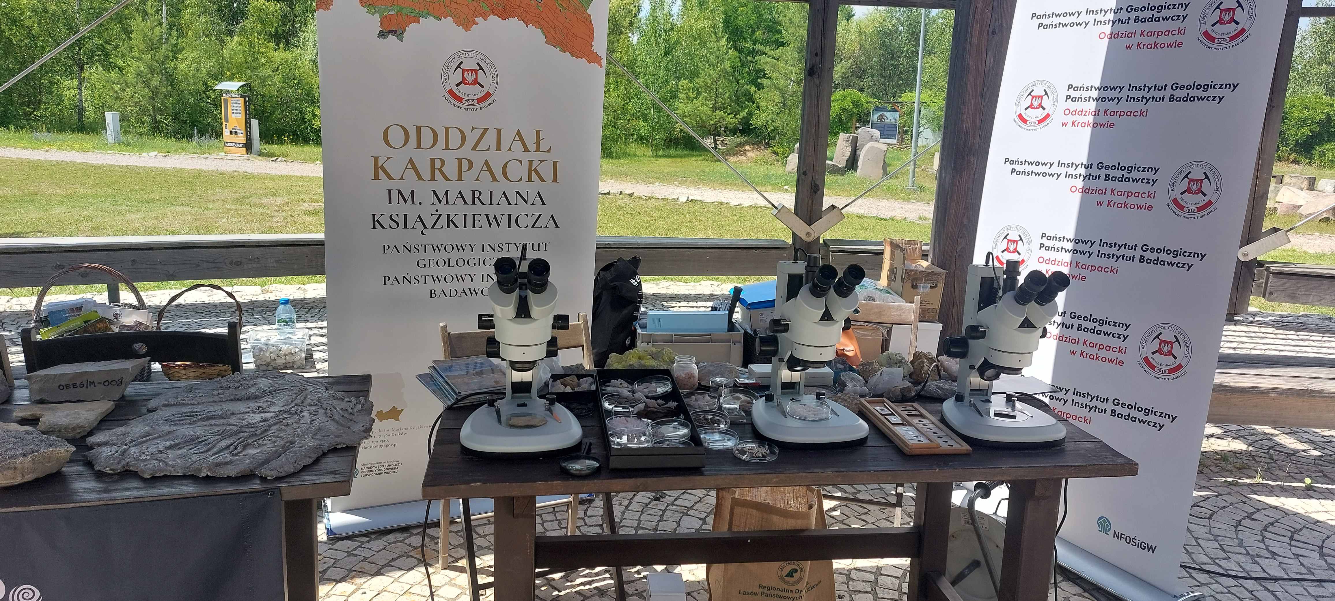 zdjcie 6 ver2