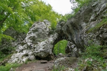 Brama Twardowskiego, forma skalna, przypominająca ostrołukową bramę na Szlaku Orlich Gniazd.
