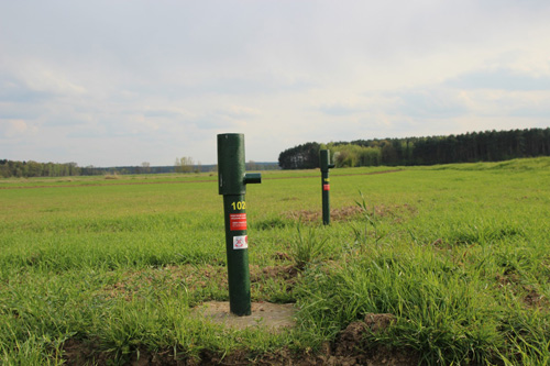 Zdjęcie przedstawiające dwa punkty obserwacyjne monitoringu badawczego 102013 i 102014 w Sadzarzewicach (fot. M. Galczak)