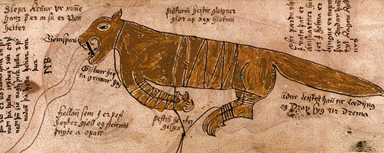 Spętany wilk Fenris na ilustracji z 17-wiecznego manuskryptu (źródło: David Bressan - Earthquake - myths: The terrible Fenris Wolf 
