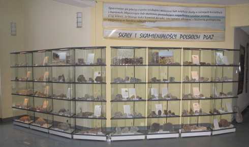 ekspozycja w oddziale geologii morza w gdańsku