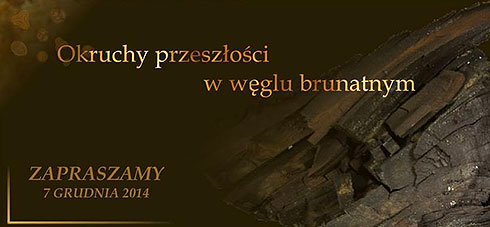 wegiel brunatny1