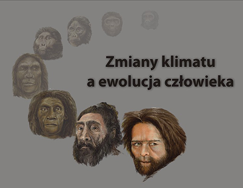 hominidy
