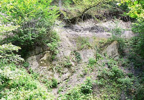 Gromadzice, tzw. dolne odsłonięcie w skarpie potoku Kamionka – widoczne wczesnojurajskie kanałowe utwory rzeczne, na których spoczywają (nad powierzchnią transgresji) utwory równi deltowej. Fot. G. Pieńkowski