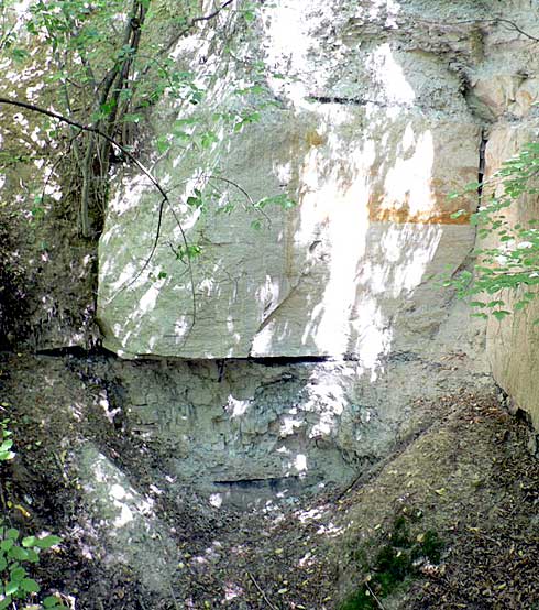 Gromadzice, tzw. górne odsłonięcia (dawne kamieniołomy) – profil utworów przybrzeżnych i deltowych z warstwami węgla. Fot. G. Pieńkowski