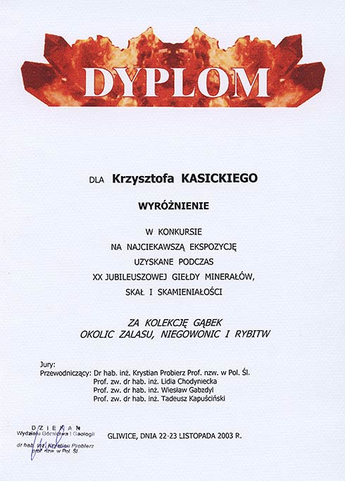 DyplomGMiSa