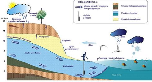 wody podziemne w strefie brzegowej