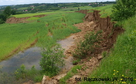 Skarpa główna osuwiska w Szczepanowicach