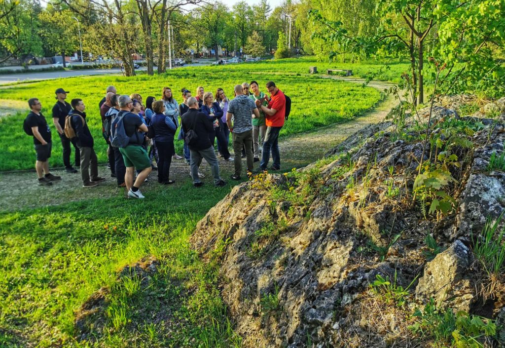 kilkanaście osób bierze udział w wycieczce terenowej