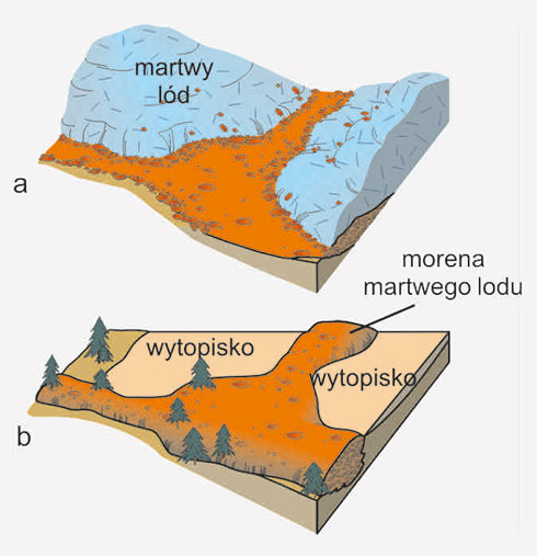 martwy lod